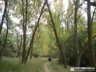 Hoces del Río Duratón - Sepúlveda;club senderismo madrid gente joven grupos de senderismo en madr